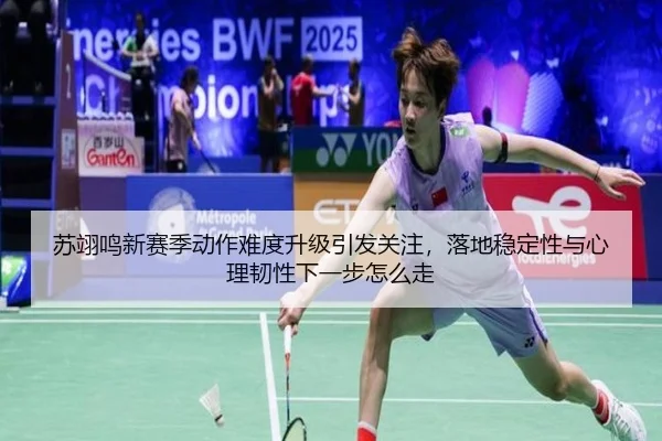su-yi-ming-xin-sai-ji-dong-zuo-nan-du-sheng-ji-yin-fa-guan-zhu-luo-di-wen-ding-xing-yu-xin-li-ren-xing-xia-yi-bu-zen-me-2-413.jpg